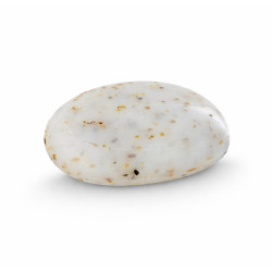 Galet essentiel algues